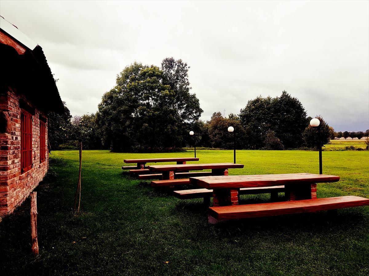 Hotel Leniwka Świebodzin Esterno foto